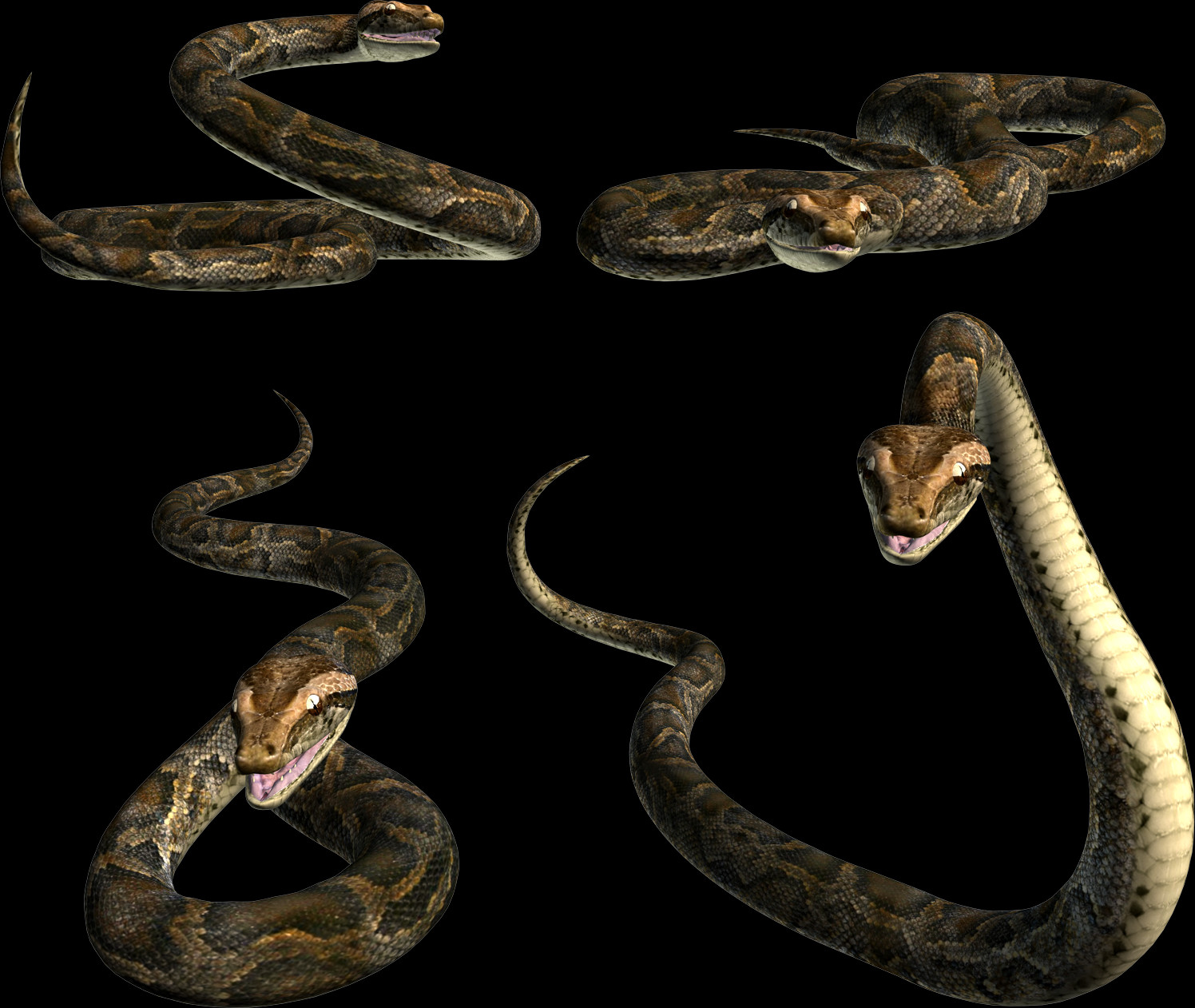 1496x1262 Serpent, Reptile, Animal, Snake HD PNG Download