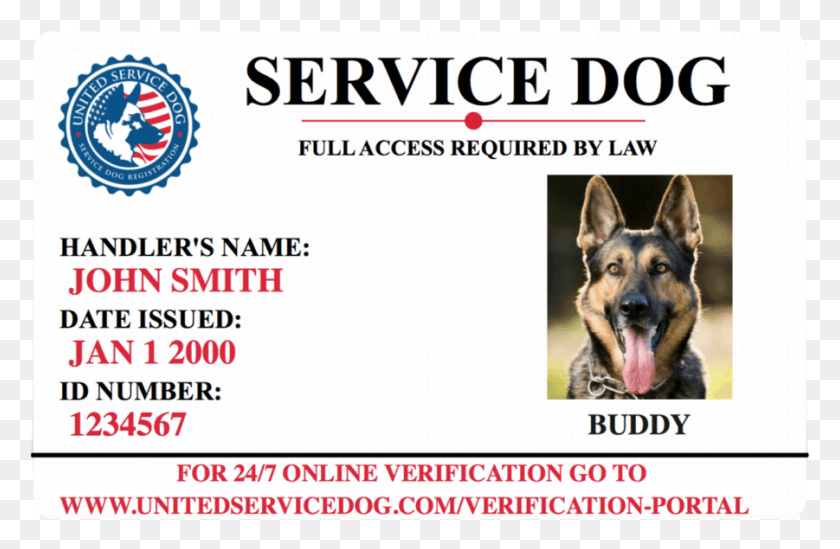 901x565 Service Dog Id Card German Shepherd Dog, Text, Pet, Canine HD PNG Download