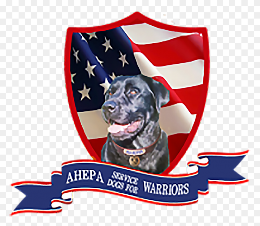 800x689 Perro De Servicio Para Los Guerreros Heridos Que Sufren De Ptsd Bandera Estadounidense, Perro, Mascota, Canino Hd Png