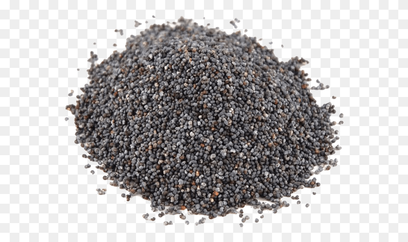 577x439 Sesame Seeds Poppy Seed Pregnant, Food, Rug, Plant HD PNG Download