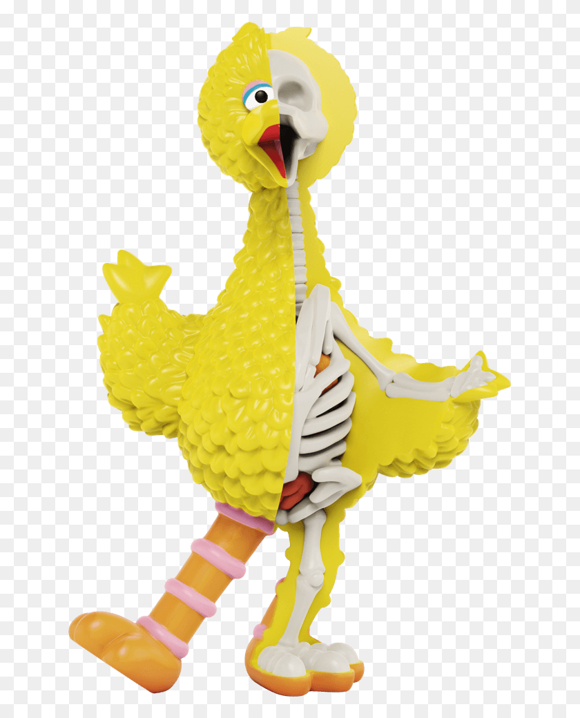 643x980 Sesame Street Big Bird Xxray Plus By Jason Freeny X Mighty Jaxx Big Bird, Toy, Animal, Poultry HD PNG Download