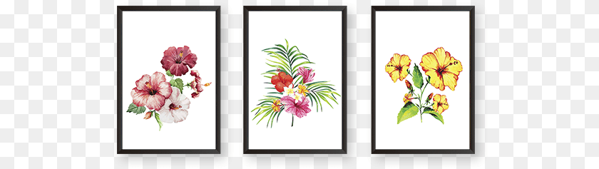 Set Of 3 Frames Bouquet, Pattern, Art, Plant, Floral Design Clipart PNG