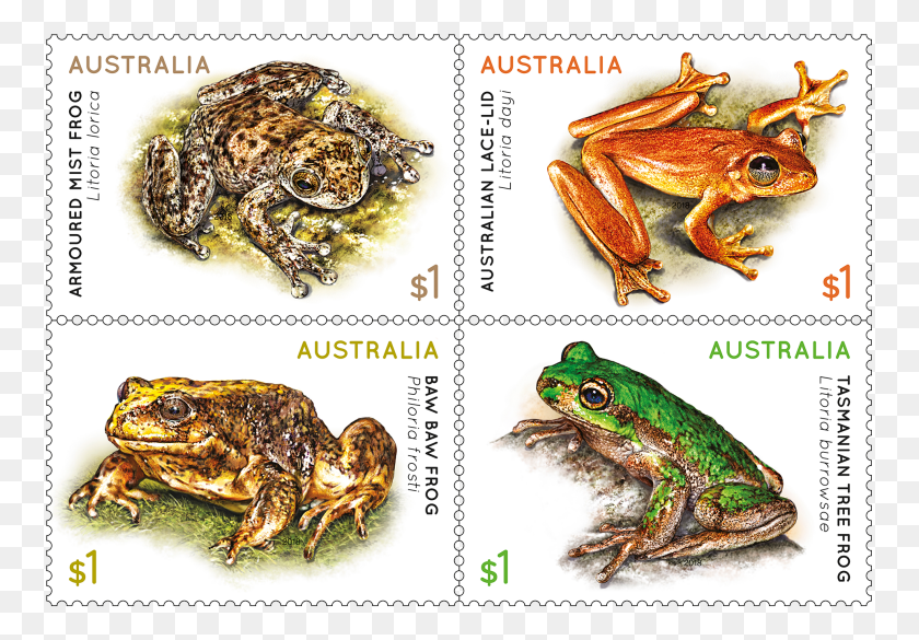 757x525 Set Of Stamps Frog, Lobster, Seafood, Sea Life HD PNG Download