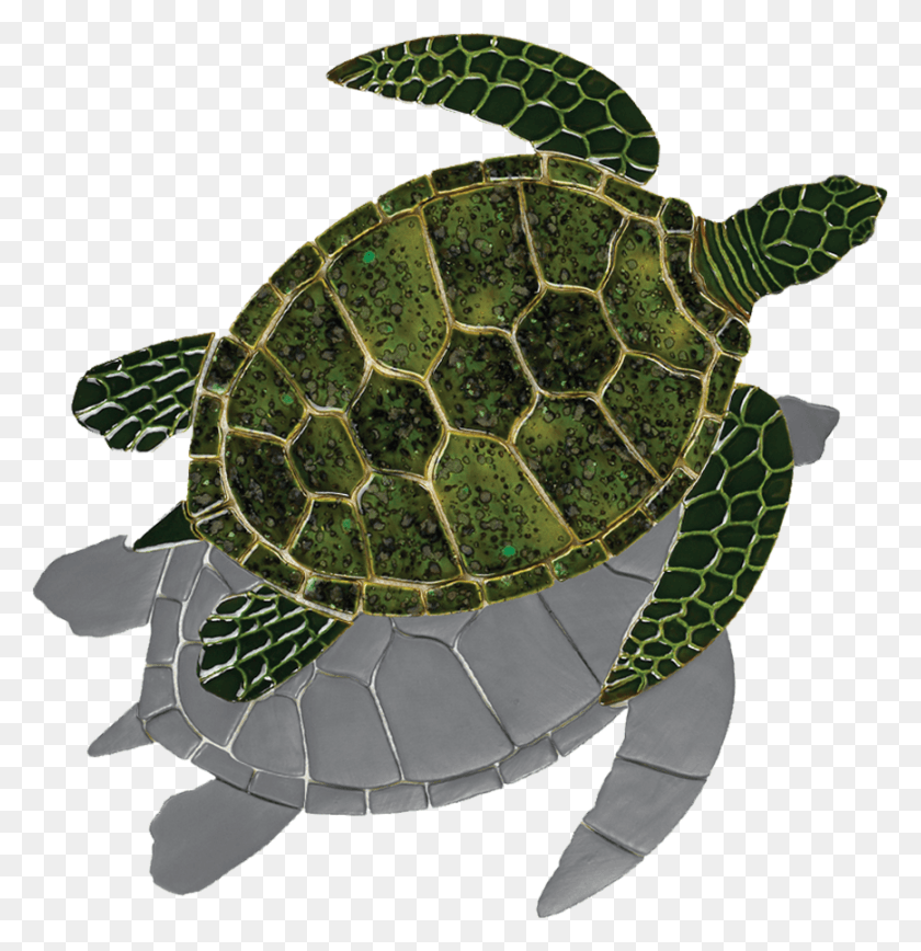 868x900 Sh Green Sea Turtle Copy Mosaico De Tartaruga Marinha, Turtle, Reptile, Sea Life HD PNG Download