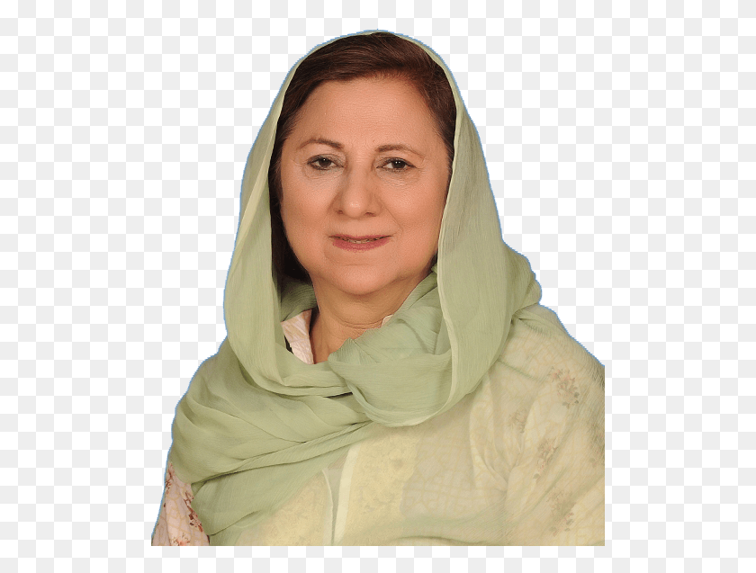 505x577 Shaheen Naz Saifullah Picture Pti Member Lady, Clothing, Apparel, Scarf HD PNG Download