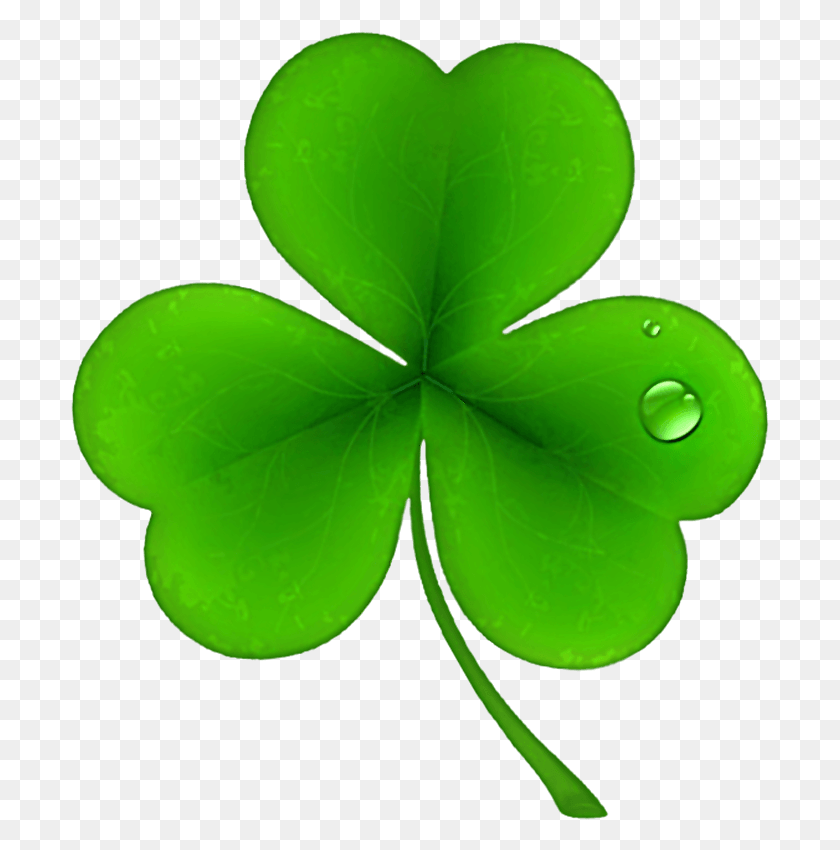 699x790 Shamrock Clipart Patrick S Day St Patrick39s Day, Green, Leaf, Plant HD PNG Download