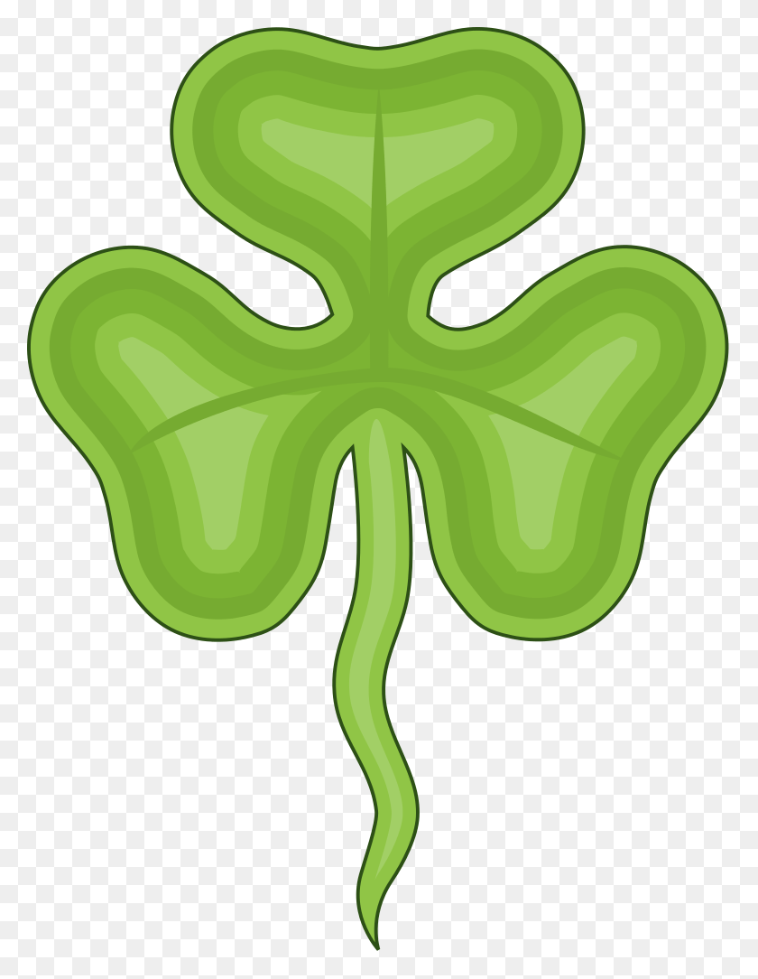 779x1024 Трилистник Ирландии Национальный Цветок Северной Ирландии, Зеленый, Лист, Растение Hd Png Скачать