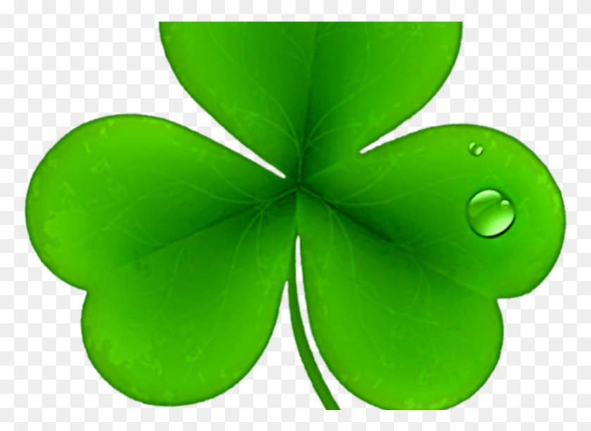 1206x856 Shamrocks Clip Art Patricks Day St Patricks Day Leaf Clover, Leaf, Plant, Green HD PNG Download