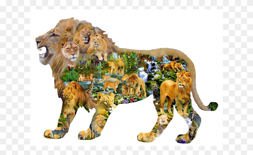 641x455 Shaped Jigsaw Puzzle Lion Shaped Puzzle, Wildlife, Mammal, Animal HD PNG Download