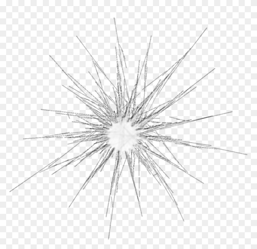 902x874 Share Kr Jaani Sketch, Flare, Light, Spider HD PNG Download