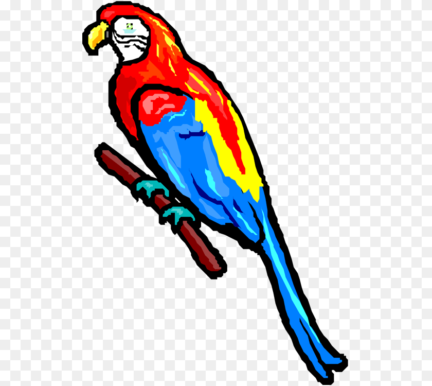 Share Parrot, Person, Animal, Bird, Macaw Clipart PNG