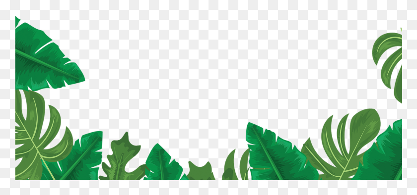 1155x495 Share The Shaka Header Leaves Clear, Leaf, Plant, Green HD PNG Download