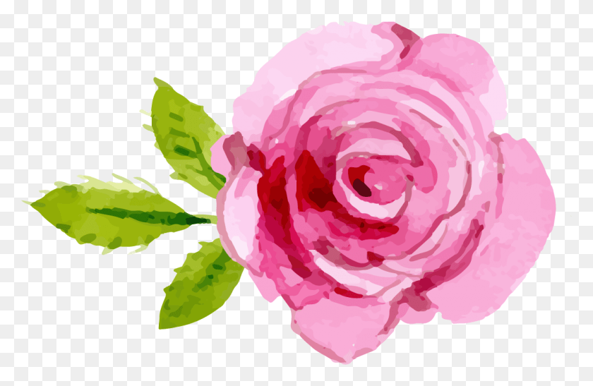 1080x675 Поделиться Этой Статьей Png Розовая Роза, Растение, Роза, Цветок Hd Png Скачать