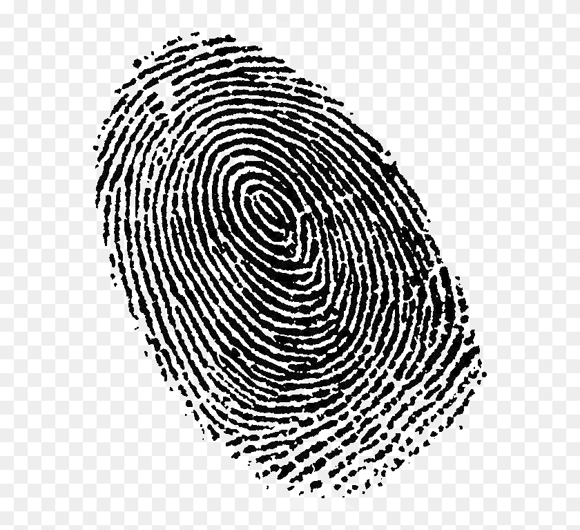 585x707 Share This Article Fingerprint Clipart, Spiral, Rug, Coil HD PNG Download