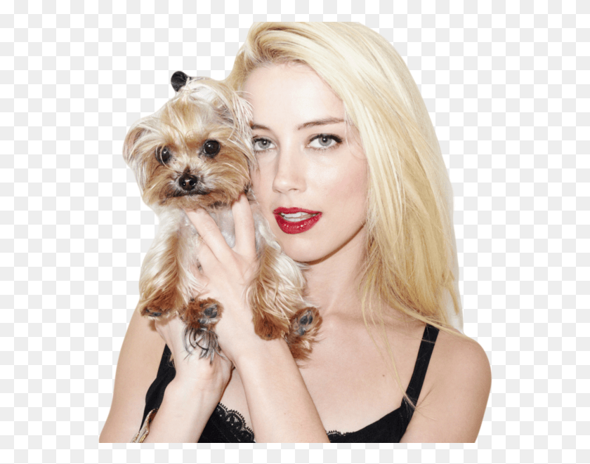 563x601 Share This Image Amber Heard, Person, Human, Puppy HD PNG Download