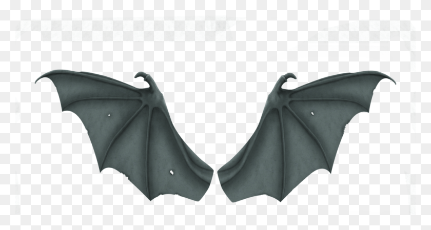 1000x500 Share This Image Bat Wings, Clothing, Apparel, Wildlife HD PNG Download