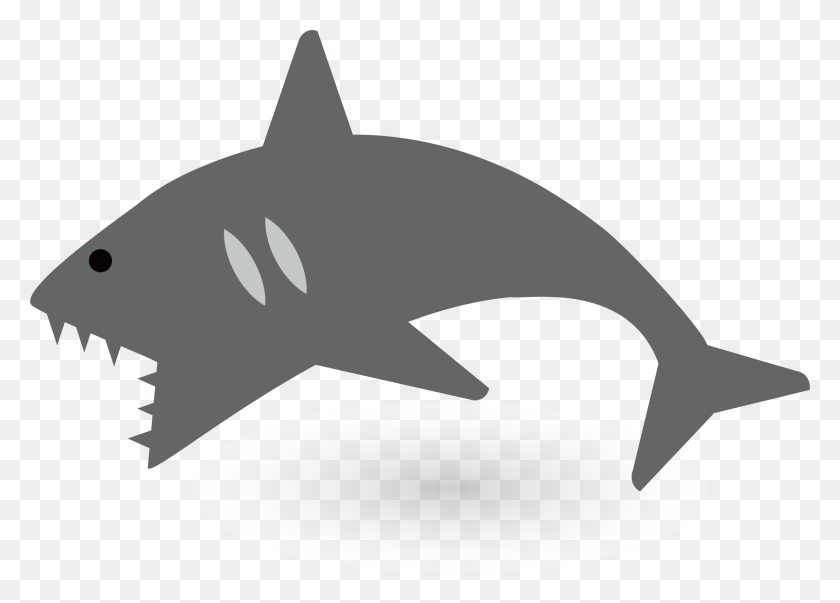 2386x1662 Shark, Sea Life, Animal, Mammal HD PNG Download
