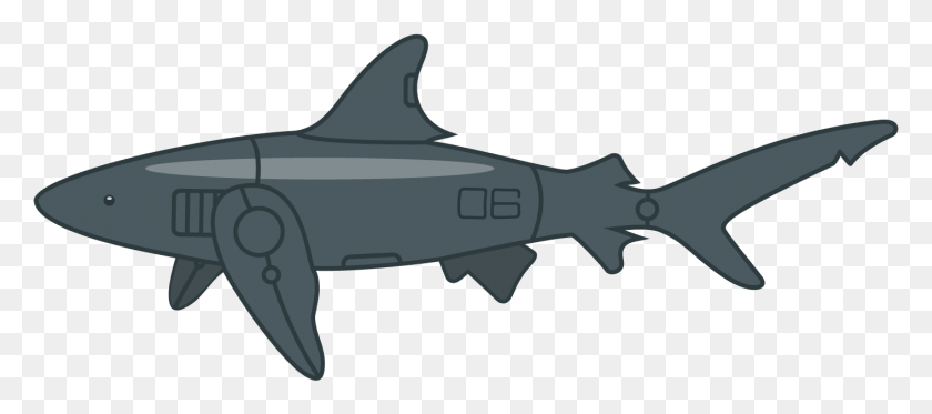 1412x568 Tiburón, Vida Marina, Animal, Pez Hd Png
