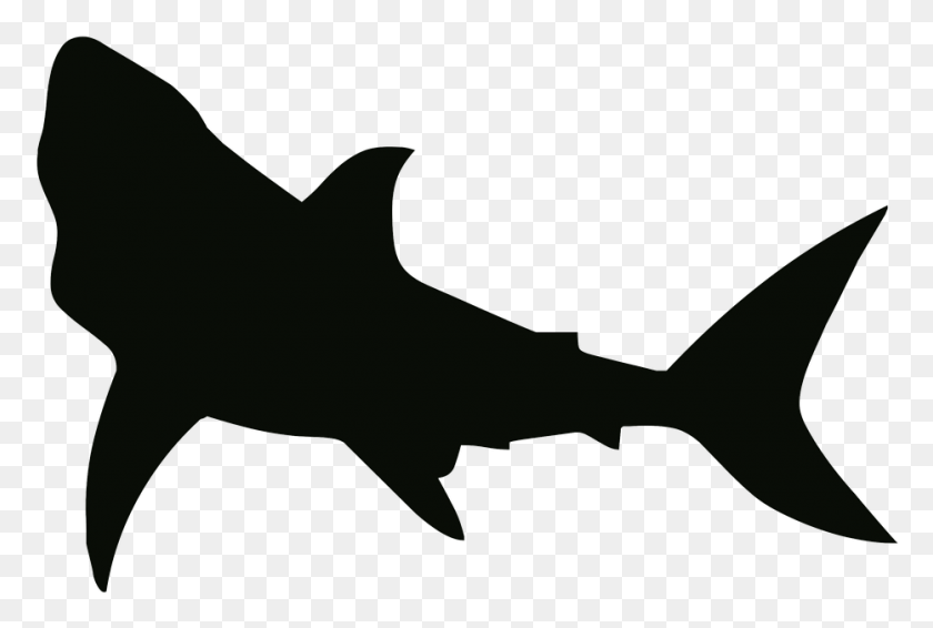 932x605 Бесплатные Картинки Акула Черно-Белая Акула На Pixabay Трафарет Акулы, Морская Жизнь, Рыба, Животное Png Скачать