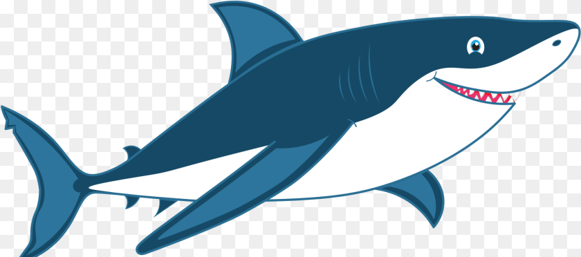 1428x633 Shark By Jamal Salem Great White Shark, Animal, Sea Life, Fish Transparent PNG