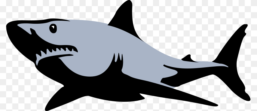 Shark Vector, Stencil, Animal, Fish, Sea Life PNG