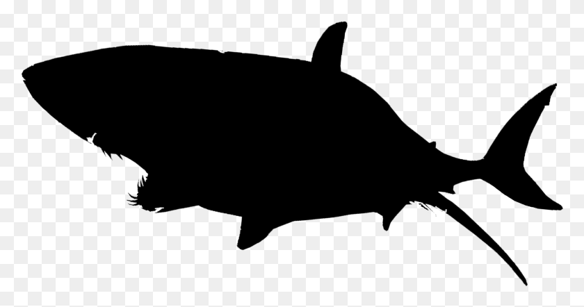 1806x885 Shark Silhouette Transparent Background Shark, Gray, World Of Warcraft HD PNG Download
