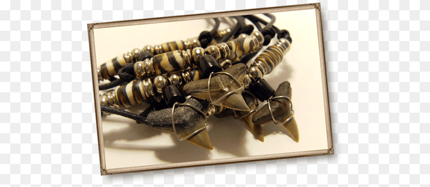 500x365 Shark Teeth Necklaces Venice, Accessories, Jewelry, Earring, Electronics Clipart PNG