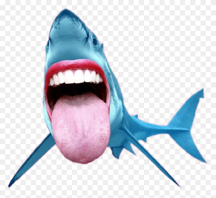 923x841 Shark Tiburon Sea Mouth Boca Tongue Lengua Fun Shark Transparent Background, Lip, Animal, Fish HD PNG Download
