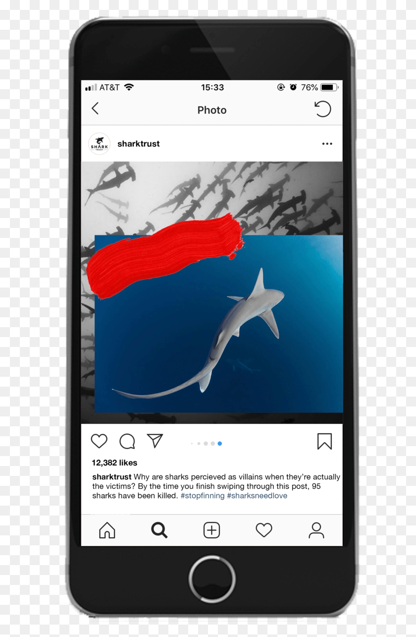 616x1225 Shark Trust Instagram Mockup, Мобильный Телефон, Телефон, Электроника Hd Png Скачать