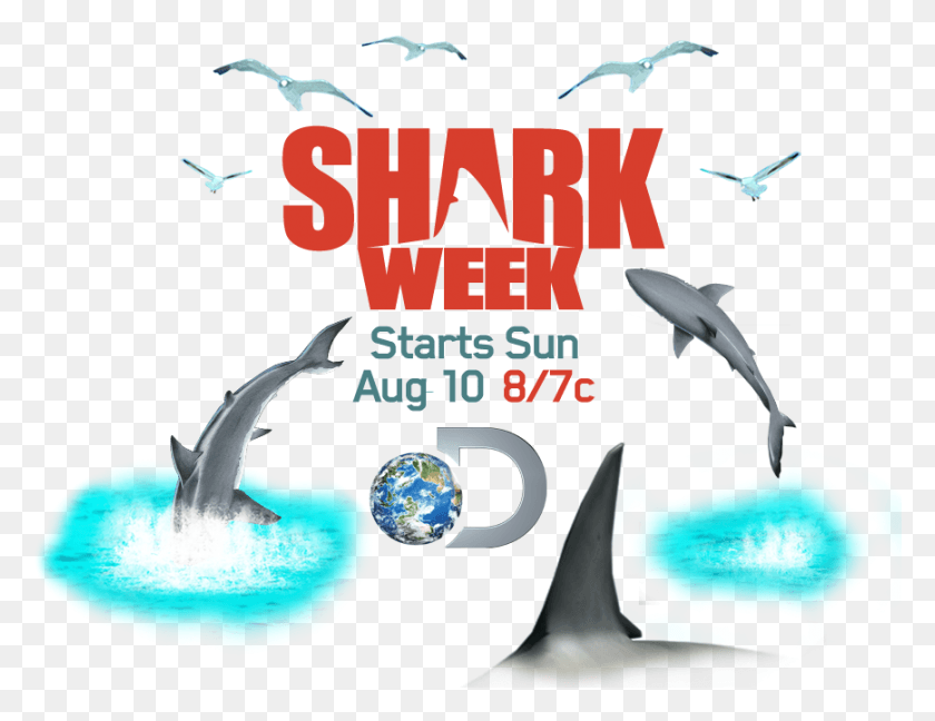869x656 Шведская Лотерея С Акулами Discovery Go Shark Week Logo Шрифт, Морская Жизнь, Животное, Дельфин Png Скачать