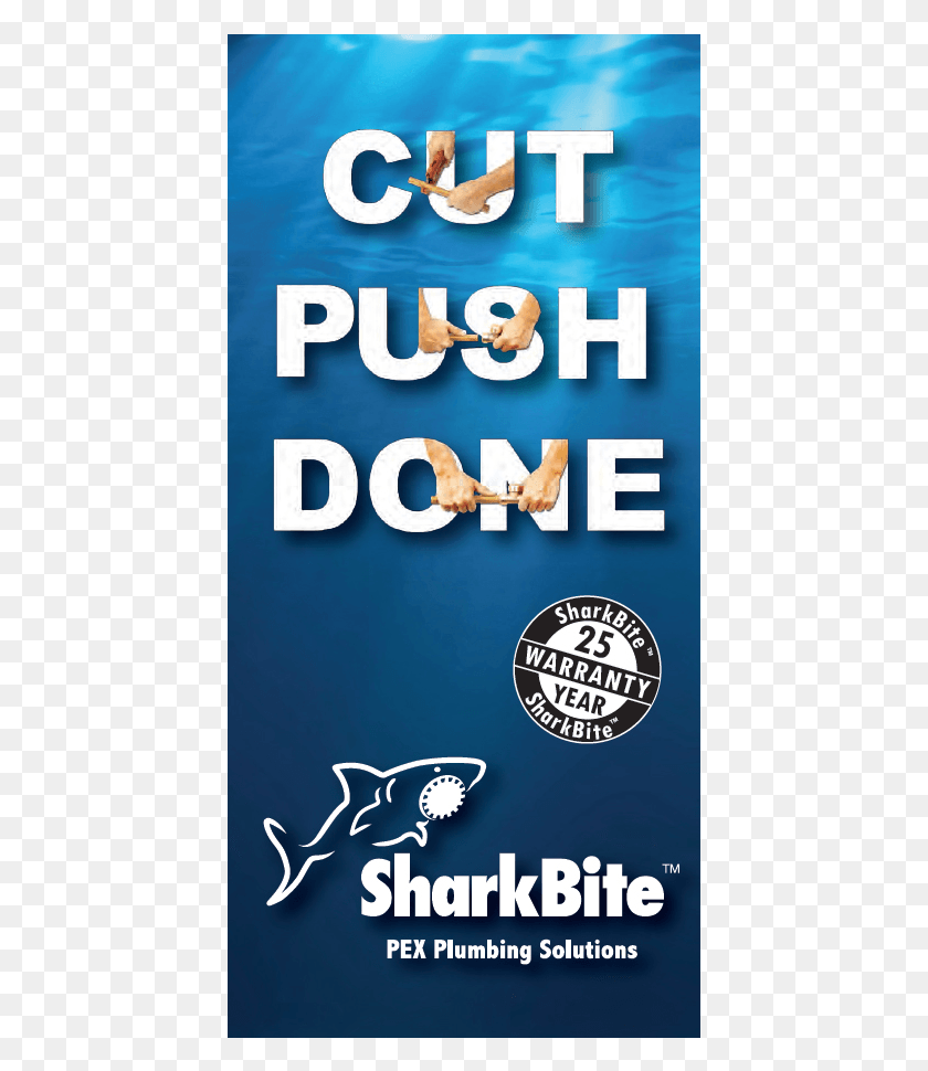 429x910 Sharkbite Brochure Poster, Word, Advertisement, Text HD PNG Download