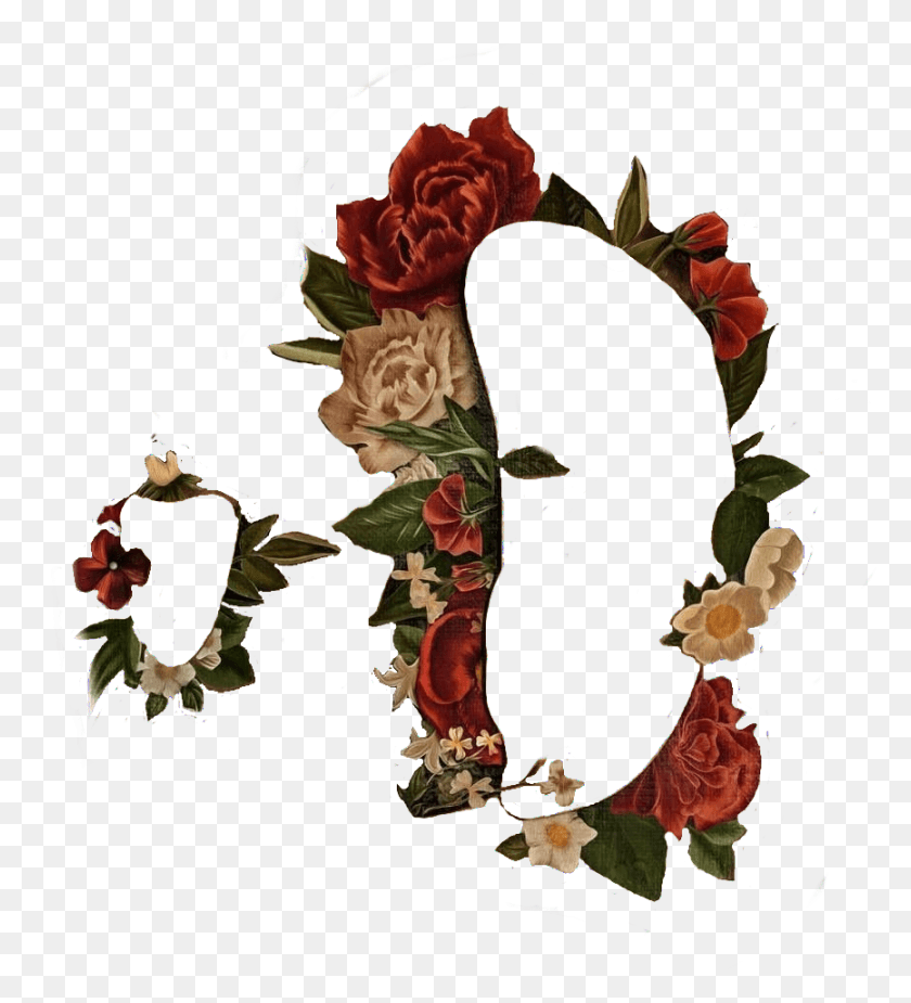 866x961 Shawn Mendes New Album Template Shawnmendes Shawn Shawn Mendes Album Flowers, Graphics, Floral Design HD PNG Download