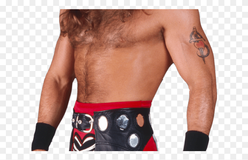 631x481 Shawn Michaels, Person, Human, Back HD PNG Download