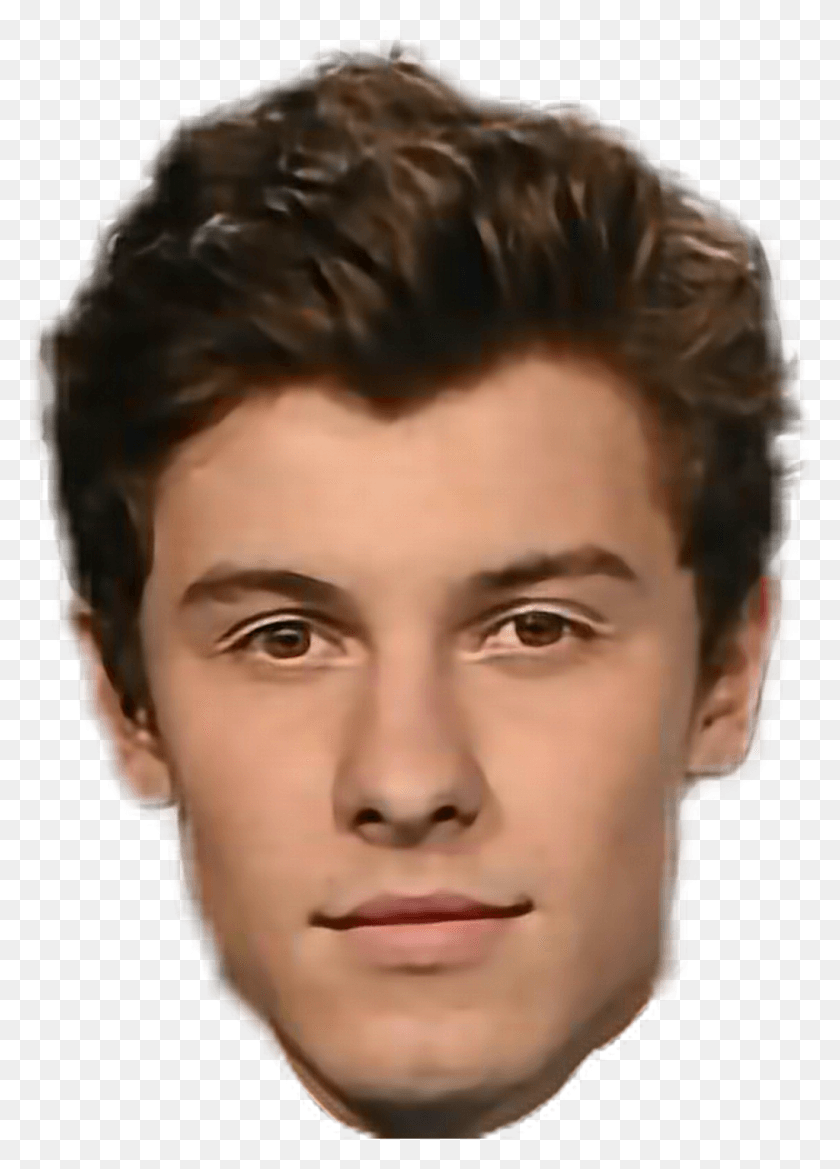 1024x1456 Shawnmendes Sticker Sketch, Head, Face, Person HD PNG Download