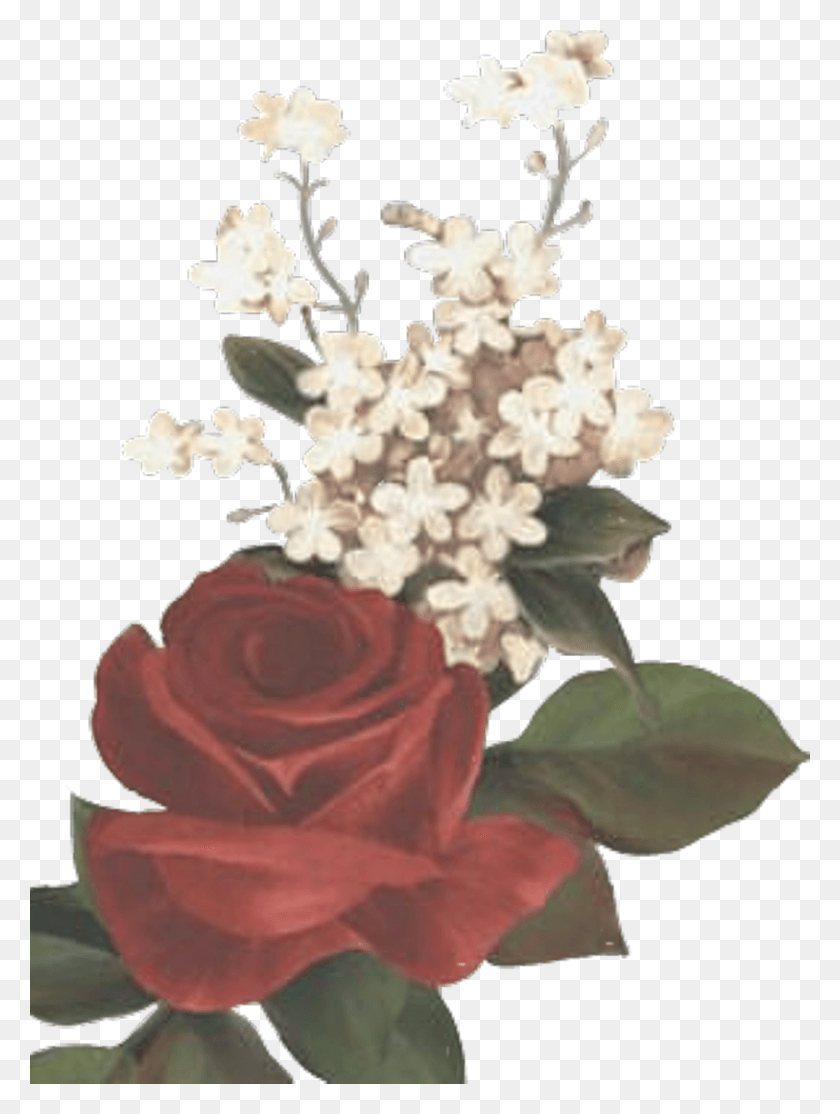 1024x1384 Shawnmendes Youth Flowers Ypu Cant Take My Youth Away, Plant, Flower, Blossom HD PNG Download
