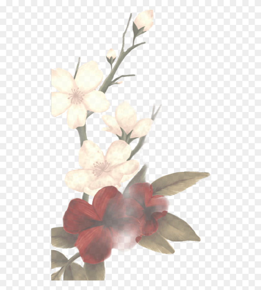 513x872 Shawnmendesflower Shawnmendes Shawnmendesedit Shawn Sticker Shawn Mendes Flowers, Plant, Flower, Blossom HD PNG Download