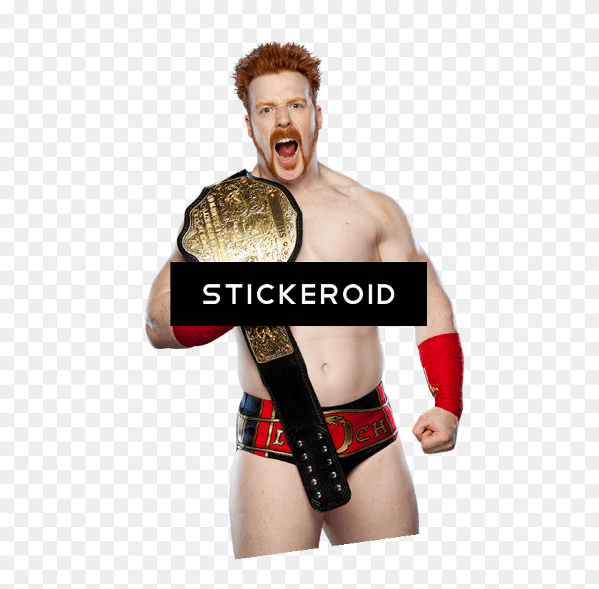 531x767 Sheamus Wwe Briefs, Costume, Person, Human HD PNG Download