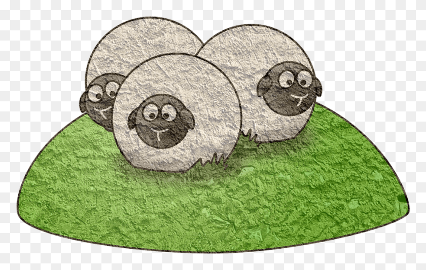 902x548 Sheep Animal Good Friday Cartoon Sheep, Turtle, Reptile, Sea Life HD PNG Download