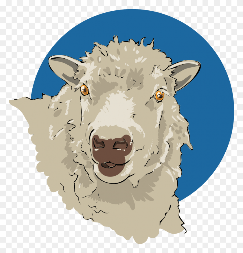 960x1005 Овца Крупный План Овца, Млекопитающее, Животное, Коза Hd Png Скачать