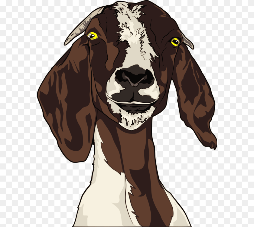 Sheep Head, Livestock, Person, Animal, Goat Clipart PNG