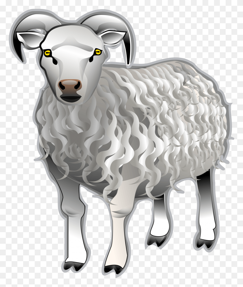 1937x2308 Sheep Sheep Ewe Ram, Mammal, Animal HD PNG Download