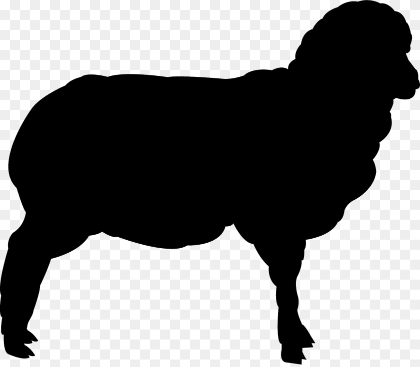 1920x1679 Sheep Silhouette, Person, Animal, Bull, Mammal Clipart PNG