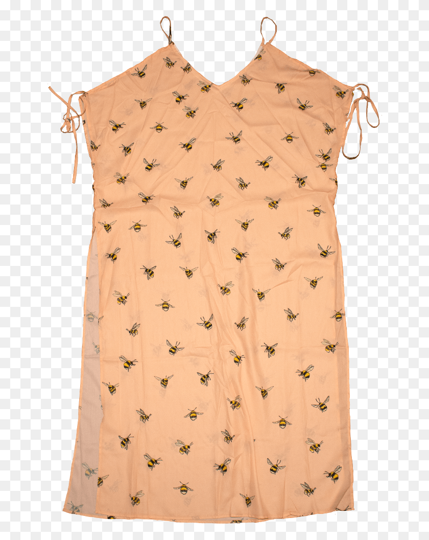 657x996 Sheer Bumblebee Dress In Blush Day Dress, Clothing, Apparel, Sleeve HD PNG Download