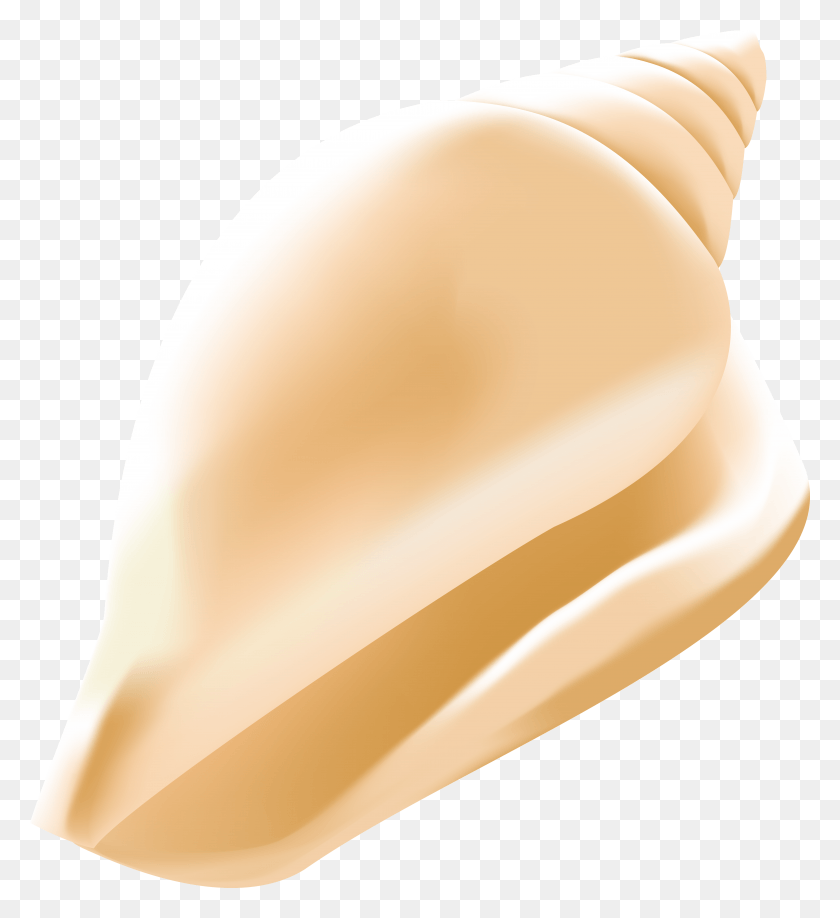 7155x7877 Shell HD PNG Download