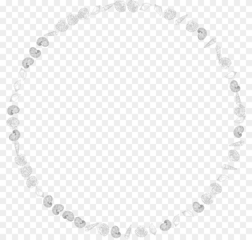 Shell Border Accessories, Jewelry, Necklace, Bracelet Clipart PNG