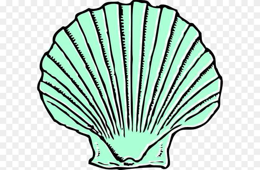 Shell Animal, Clam, Food, Invertebrate Clipart PNG