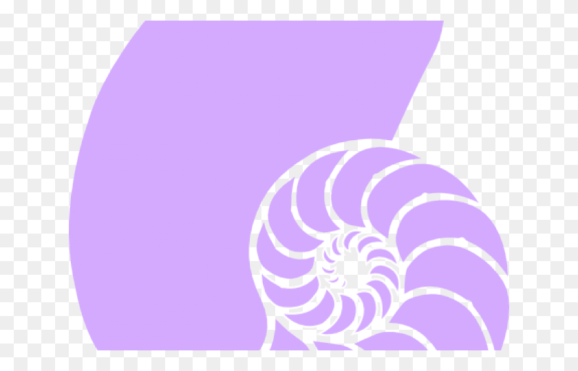 640x480 Shell Clipart Nautilus Shell Coral Seashell Clipart, Spiral, Coil, Animal HD PNG Download