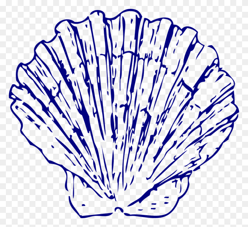 793x720 Shell Fan Sea Blue Blue Sea Shell Clip Art, Pollen, Plant, Rug Descargar Hd Png