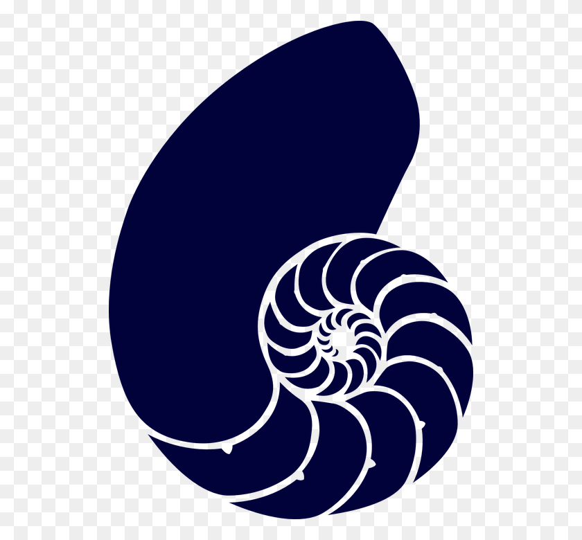 526x720 Shell Sea Blue Spiral Navy Dark Animal Fossil Nautilus Shell Clipart, Invertebrate, Moon, Outer Space HD PNG Download