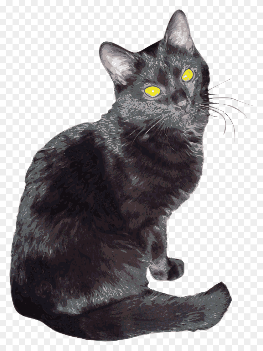 1765x2400 Шерлок Черная Кошка, Кошка, Домашнее Животное, Млекопитающее Hd Png Скачать